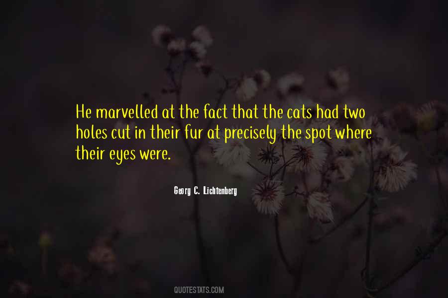 Eyes Cat Quotes #1219306