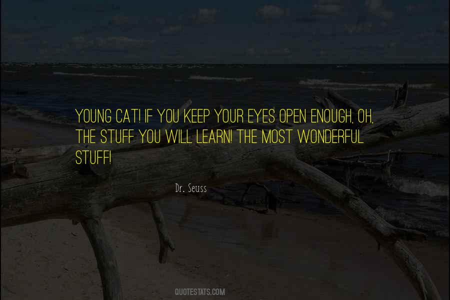 Eyes Cat Quotes #805248