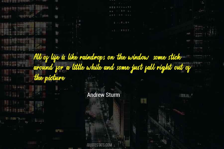 Window Life Quotes #656327