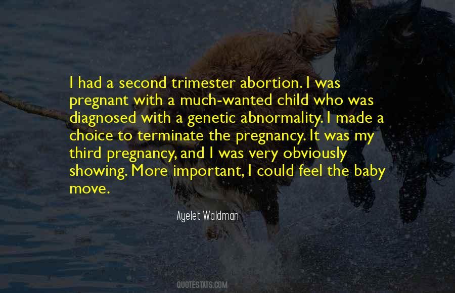 Third Pregnancy Quotes #758495