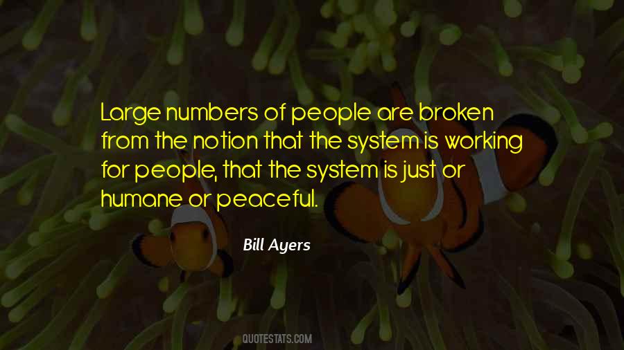 Broken System Quotes #1598933