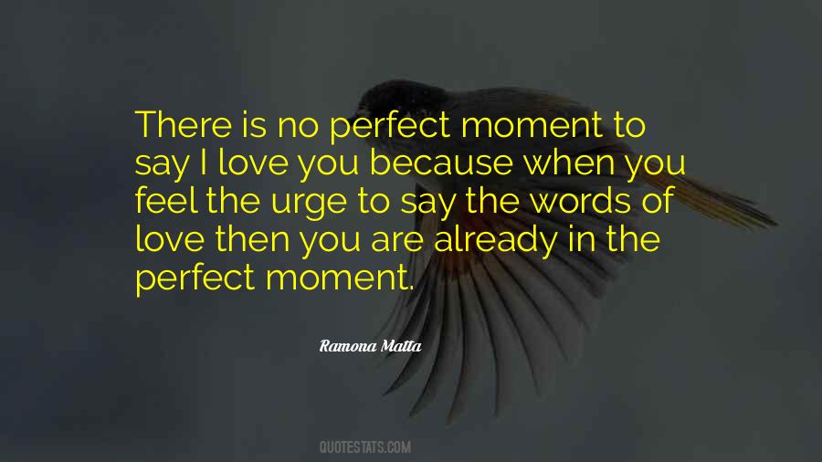 When You Are Perfect Quotes #1420465