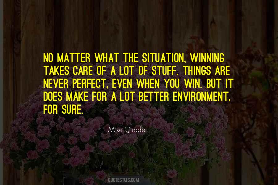 When You Are Perfect Quotes #595611
