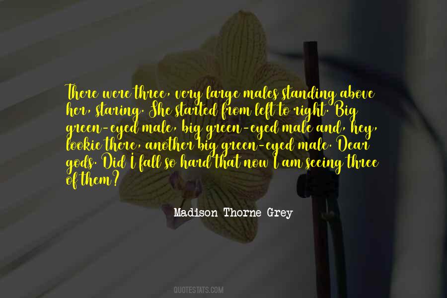 Fall So Hard Quotes #600781