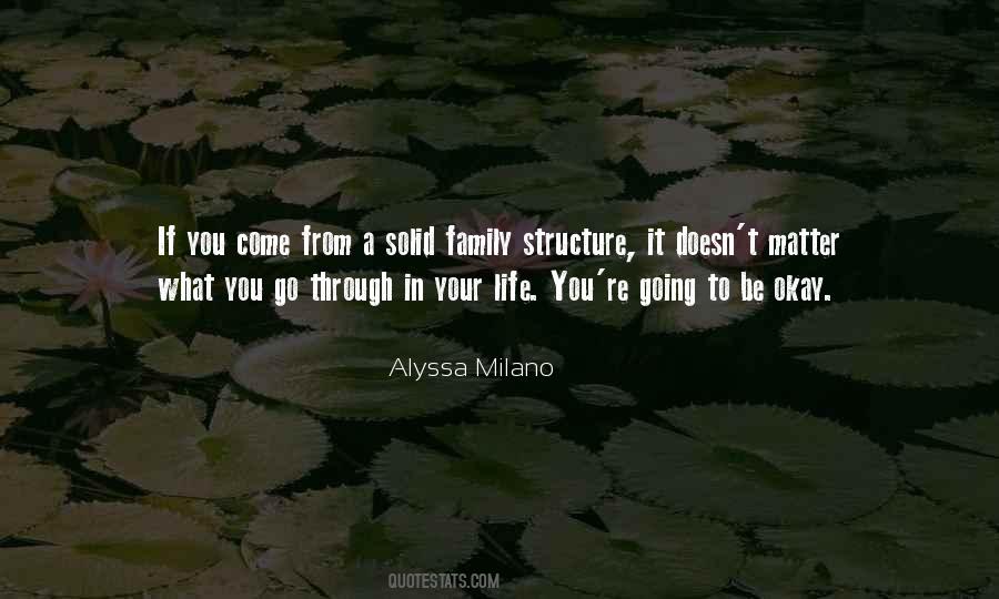 No Matter What You Go Through In Life Quotes #175448