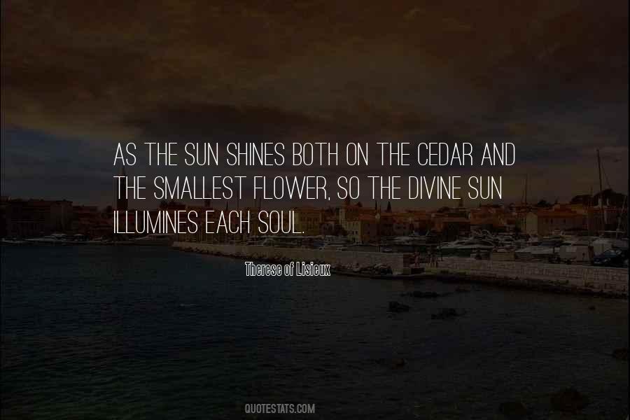Flower Soul Quotes #980508