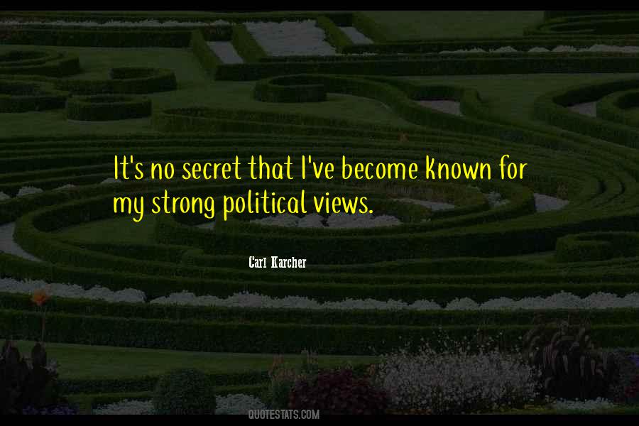 My Political Views Quotes #1211090