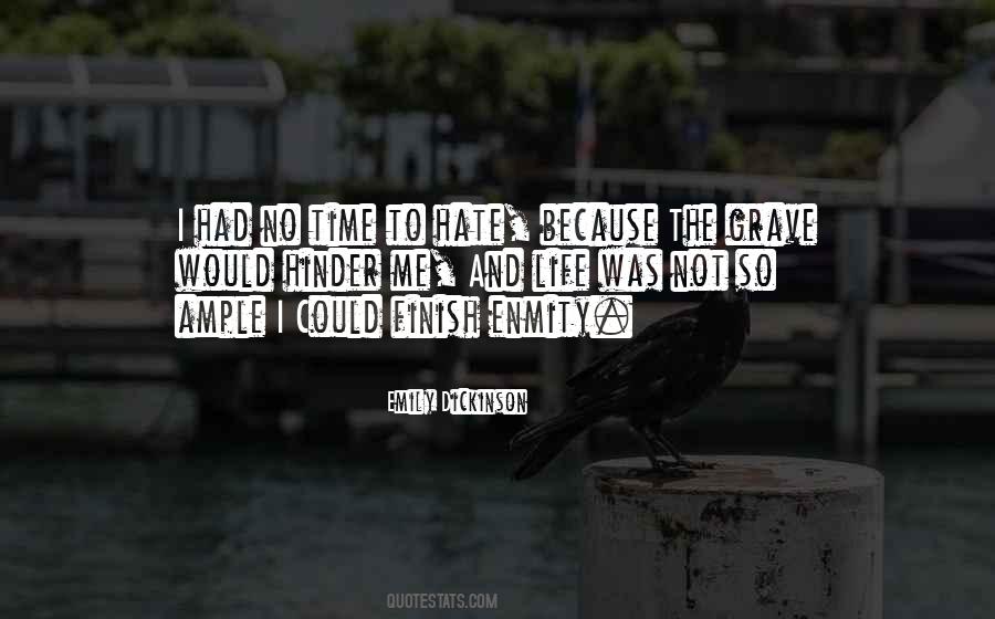 No Time For Hate Quotes #104220