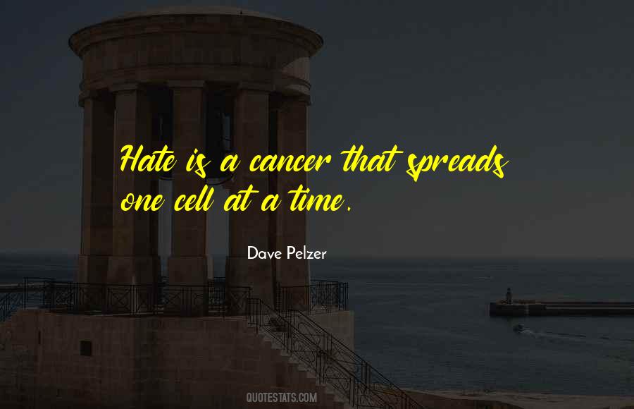 No Time For Hate Quotes #96455