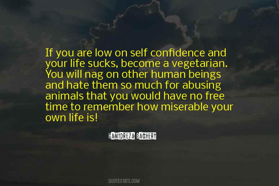 No Time For Hate Quotes #985809