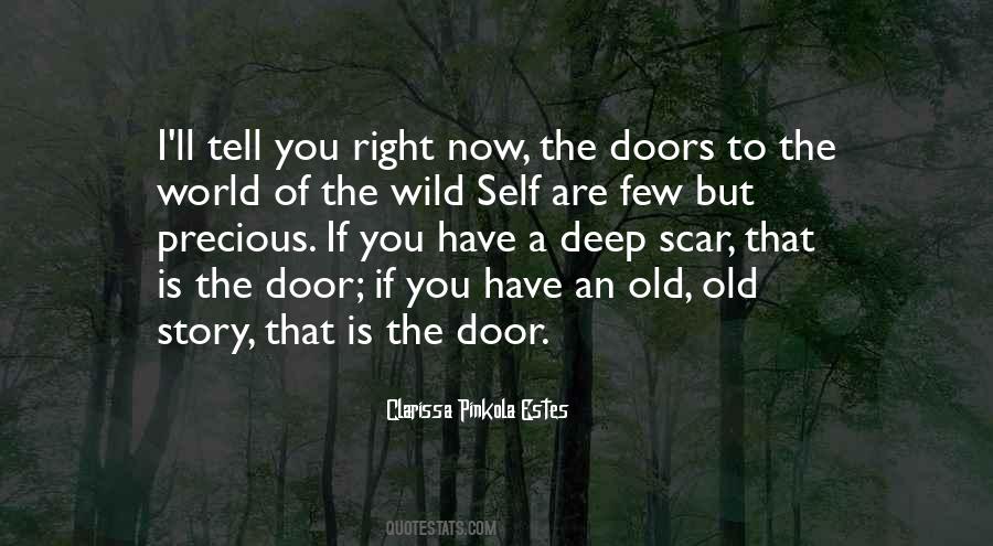 Story Of The Door Quotes #1267071