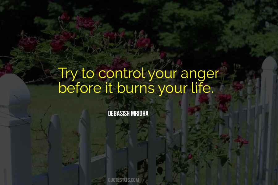 Burns Inspirational Quotes #1036806