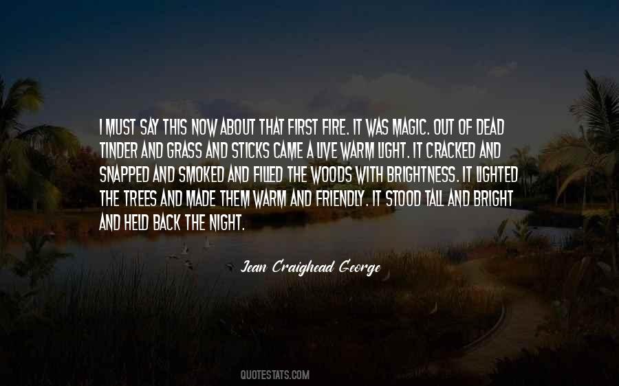 Out Of The Woods Quotes #1078220