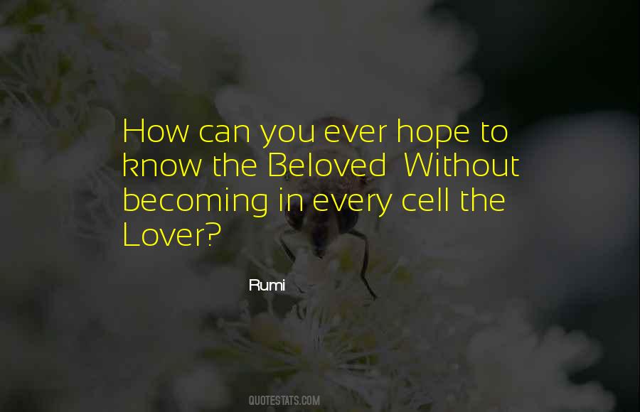 Quotes About Hope Rumi #1560781