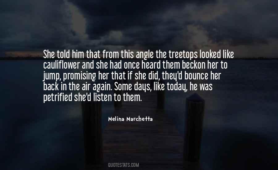 Jump In The Air Quotes #1498760