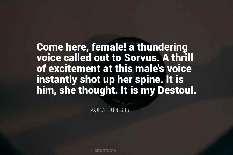 She Is A Fantasy Quotes #1615297