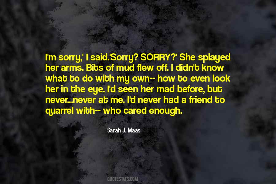Sorry My Friend Quotes #778272