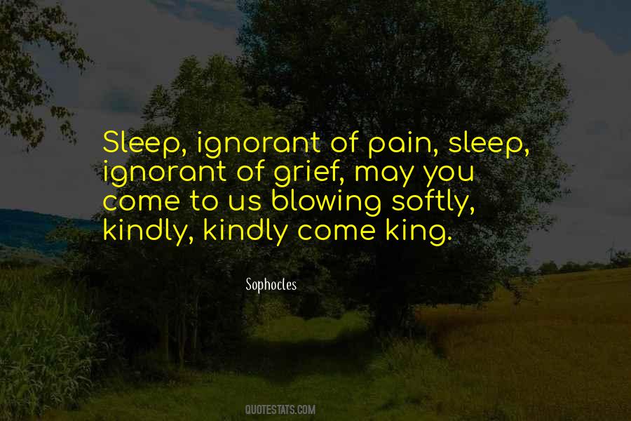 Sleep Pain Quotes #623474