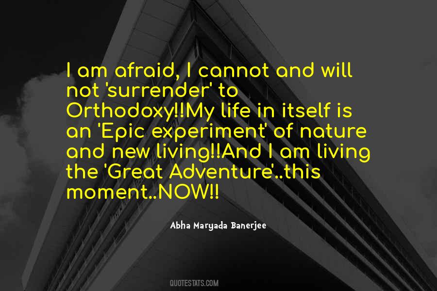 New Experiment Quotes #591761