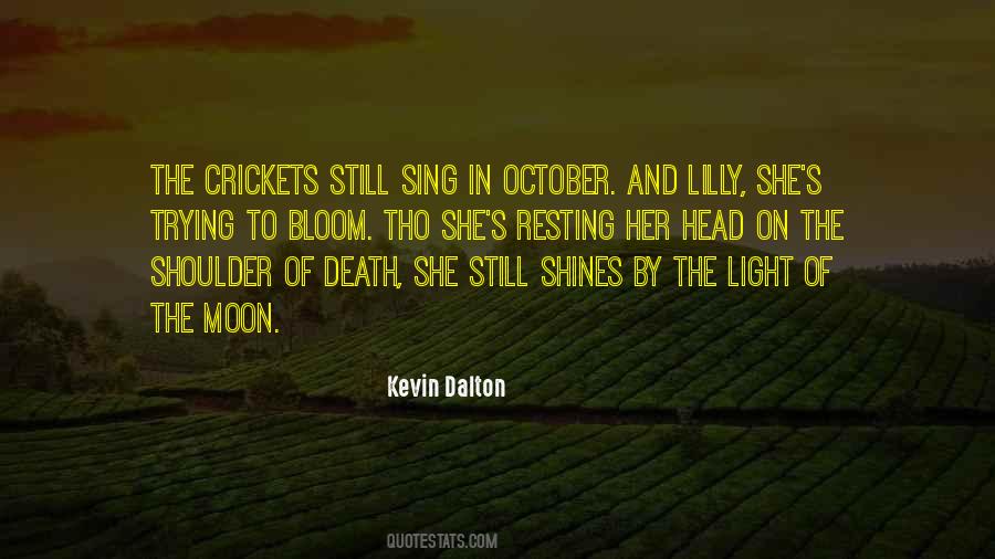 The Moon Shines Quotes #1599954