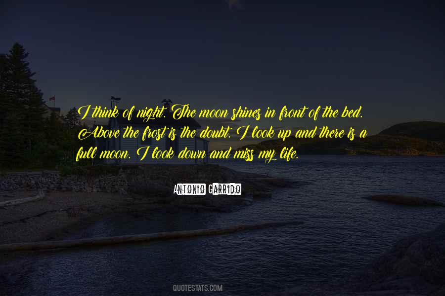 The Moon Shines Quotes #553872