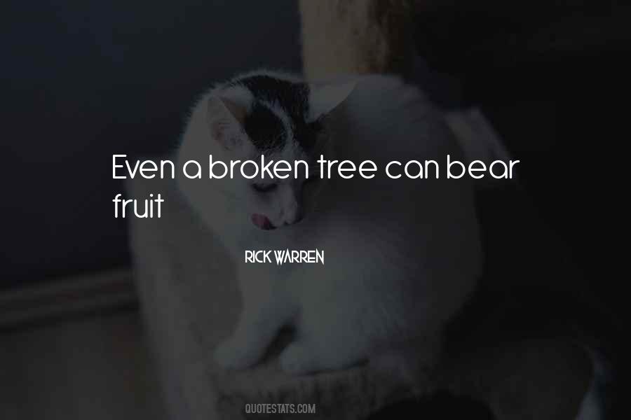 Broken Tree Quotes #1189793