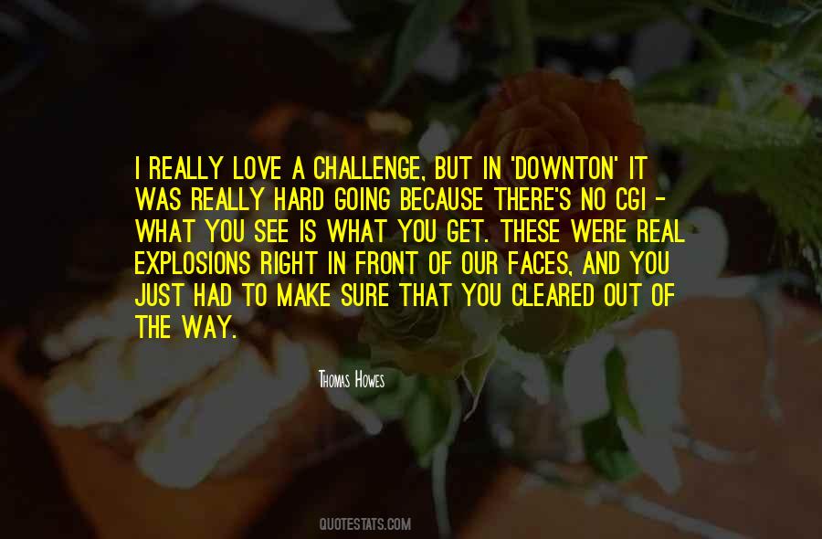 Love The Challenge Quotes #167143
