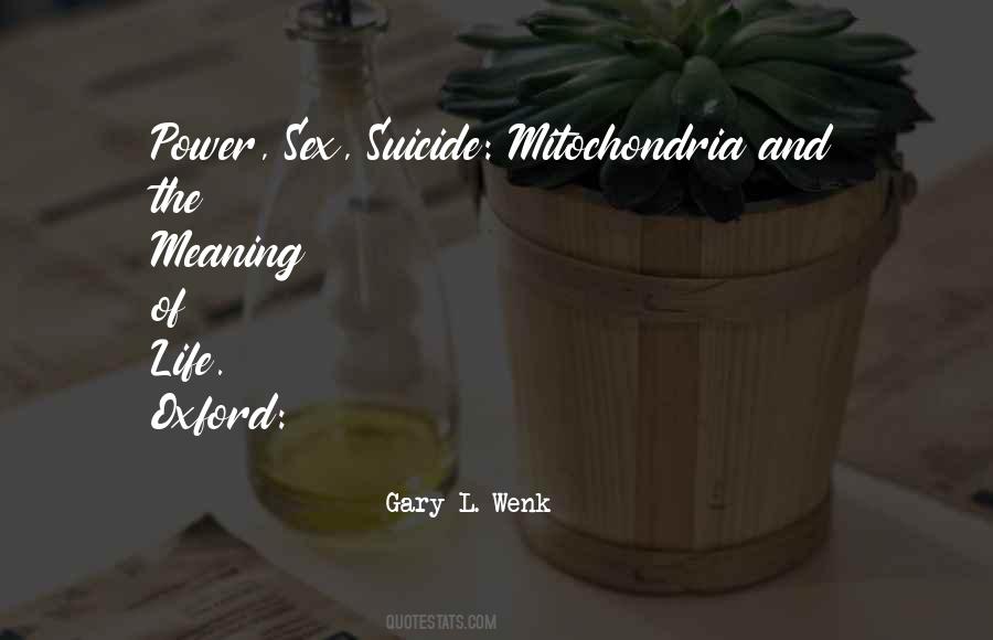 My Life Has No Meaning Quotes #47366