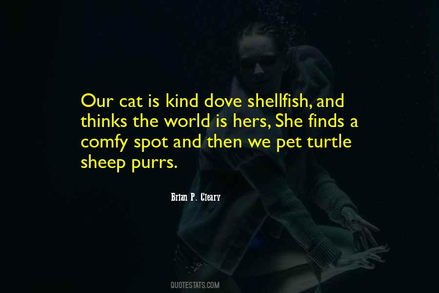 Pet Turtle Quotes #1689775