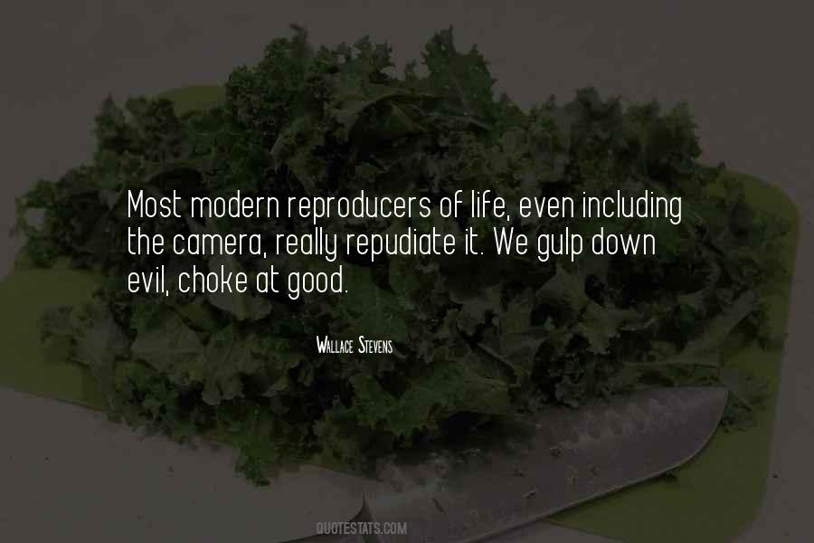 Modern Photography Quotes #1143103
