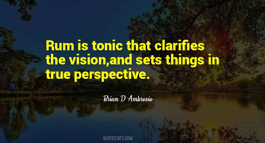 Vision Perspective Quotes #110561