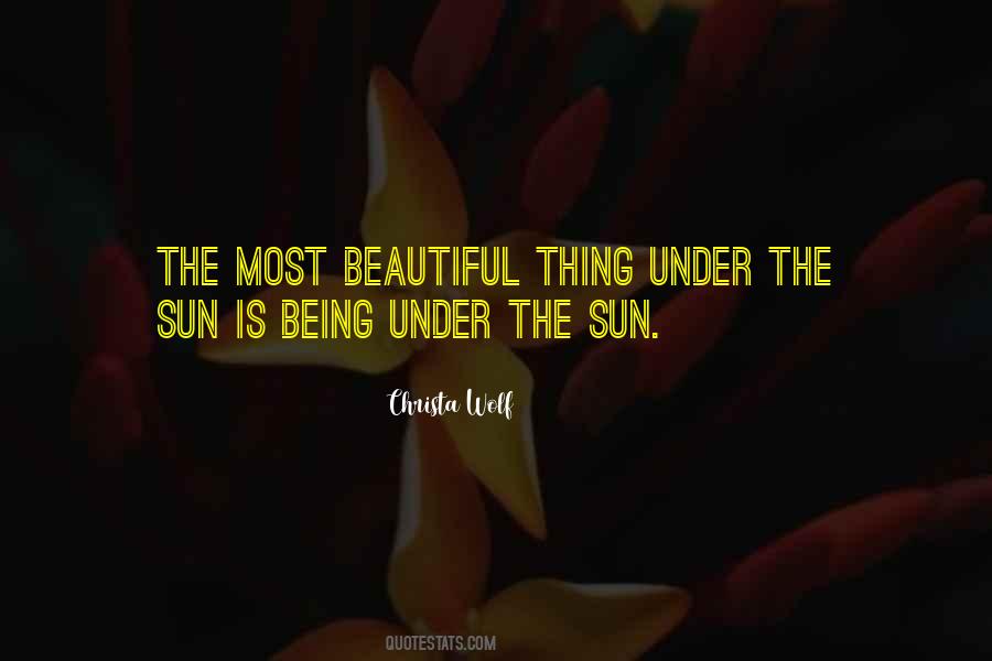 The Most Beautiful Things Quotes #1181269