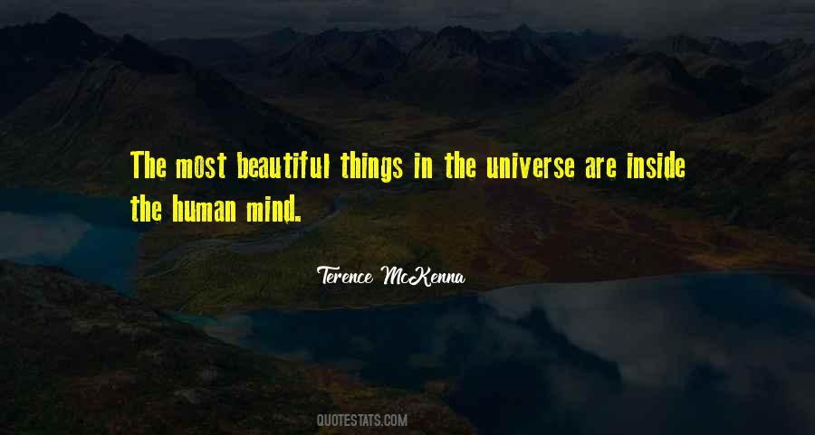 The Most Beautiful Things Quotes #504475