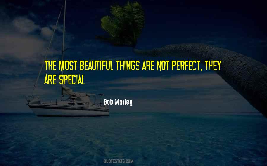 The Most Beautiful Things Quotes #924493