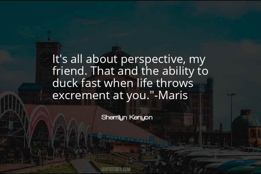 Perspective Life Quotes #279867