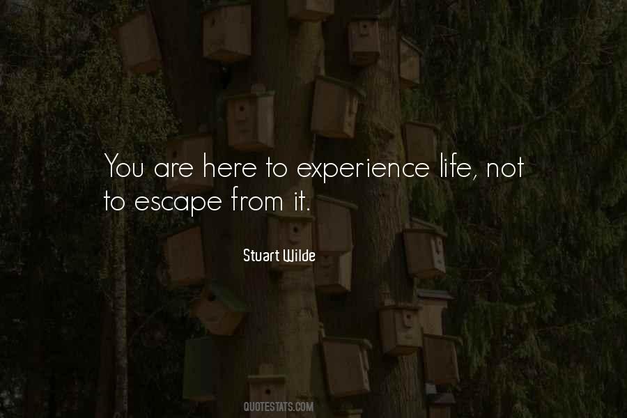 Escape Life Quotes #323112