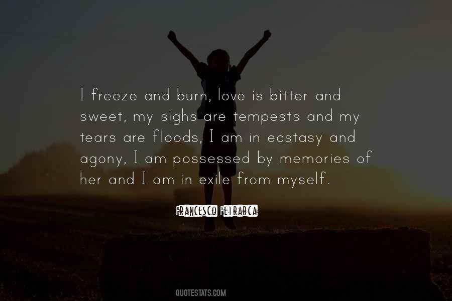 Love Fire Quotes #91304