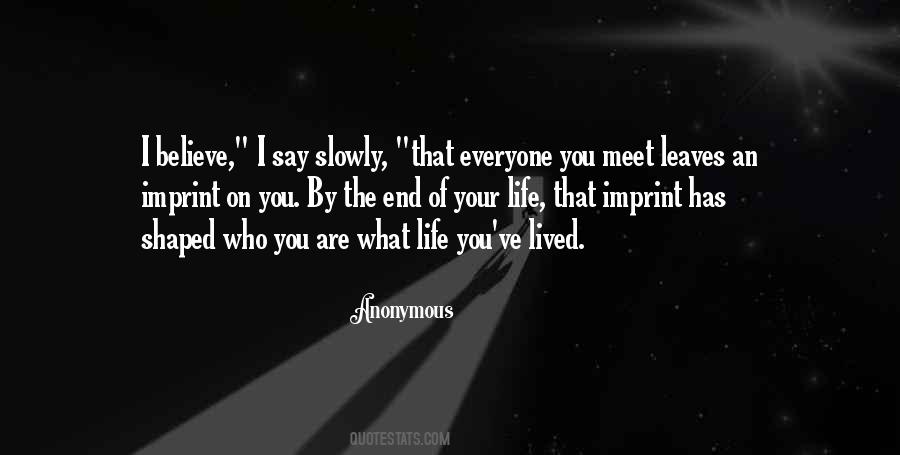 Everyone You Meet Quotes #1273353