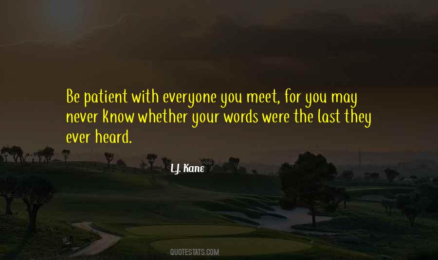 Everyone You Meet Quotes #1276760