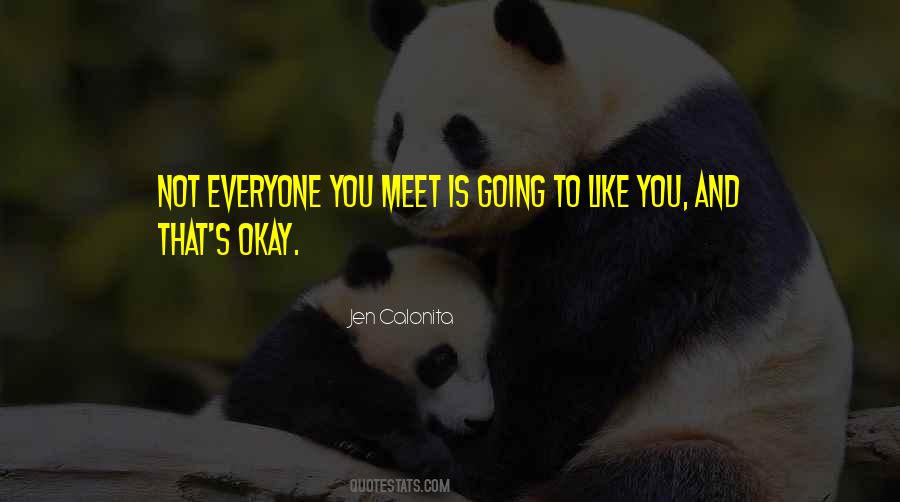 Everyone You Meet Quotes #985832