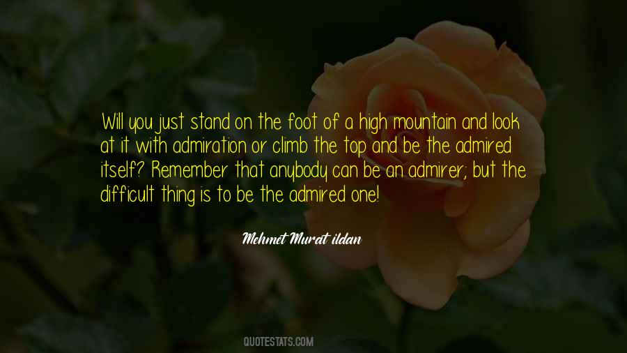 Remember Me When I Am Gone Quotes #14687