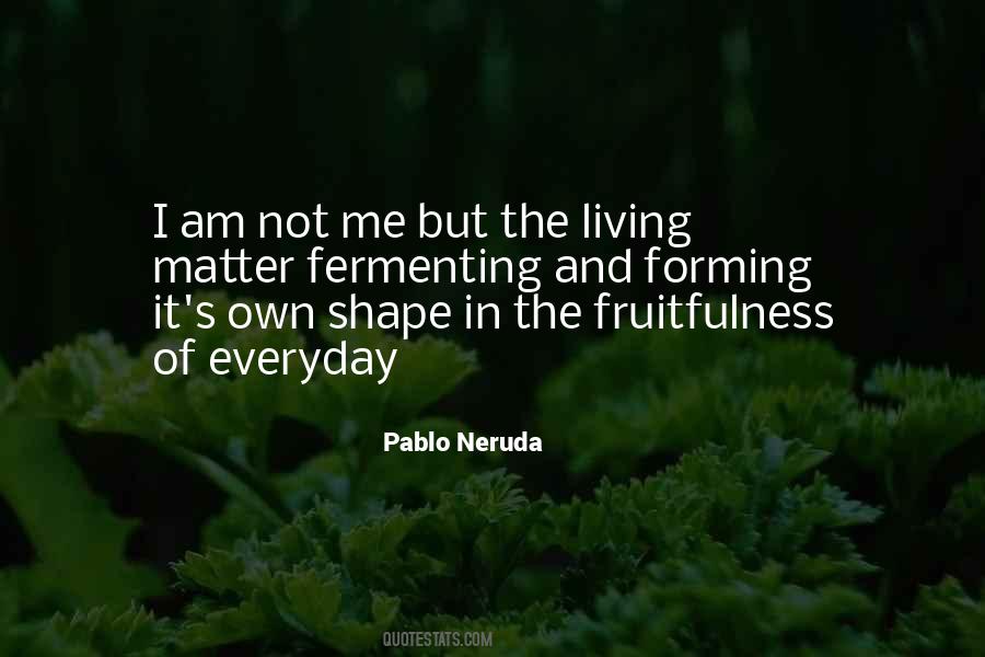 I Am Not Me Quotes #542229