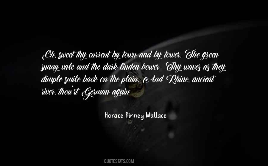 Smile In The Dark Quotes #64505