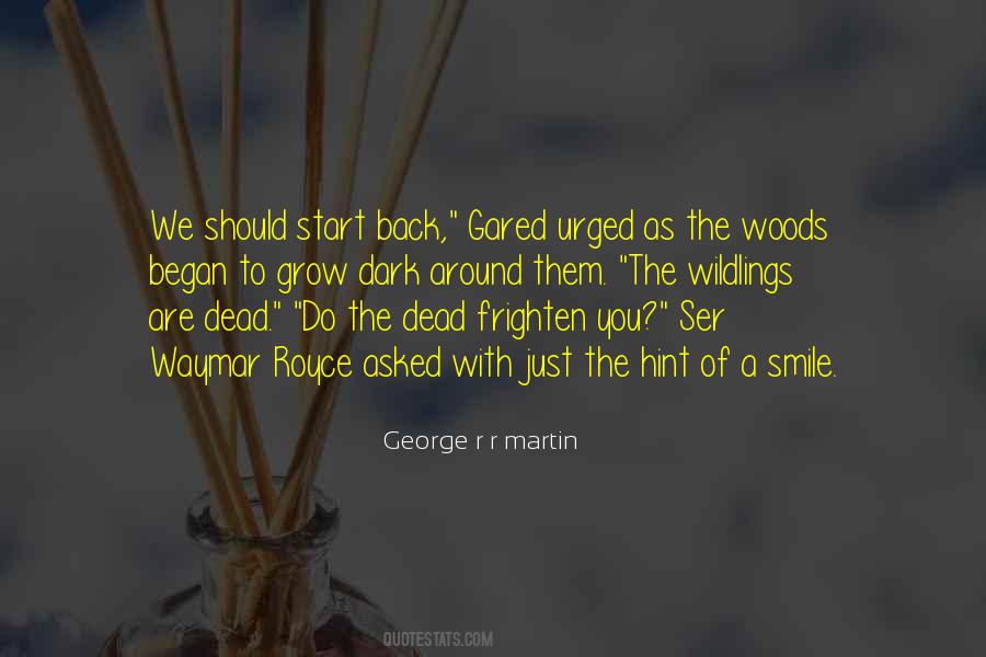 Smile In The Dark Quotes #877604