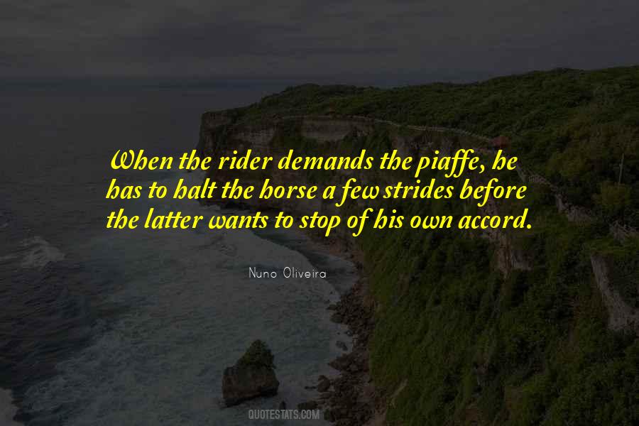 The Rider Quotes #204923