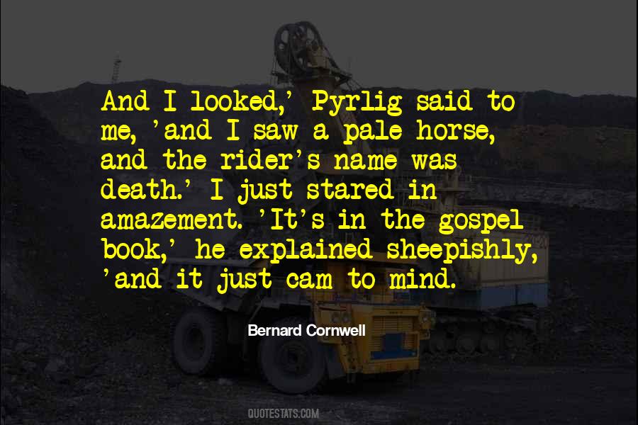 The Rider Quotes #428405