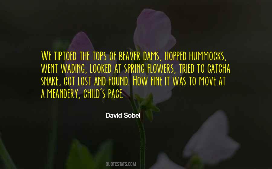 Quotes About The Pace Of Nature #100730