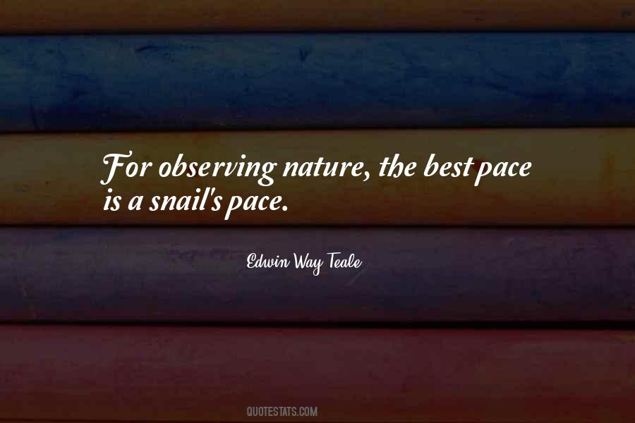 Quotes About The Pace Of Nature #878933
