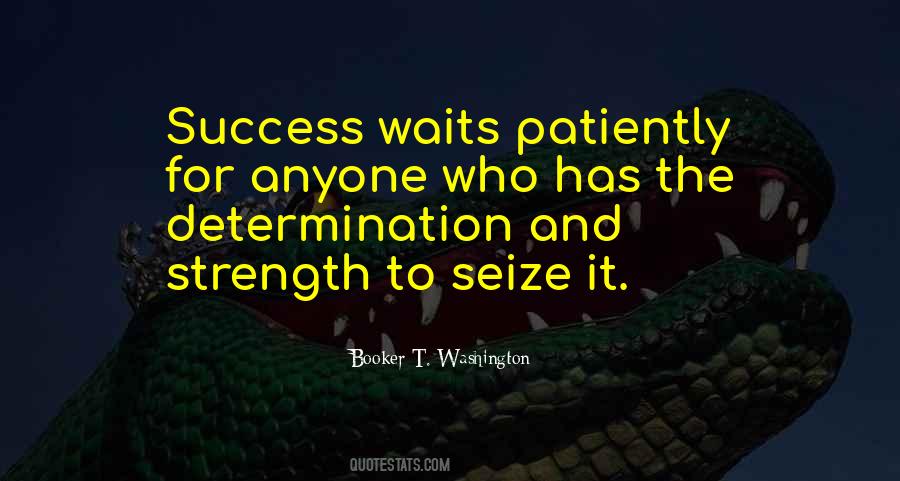 Strength Determination Quotes #1029244