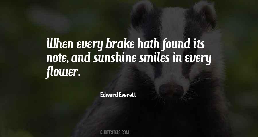 Quotes About Spring Sunshine #1747583